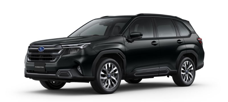FORESTER