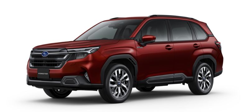 FORESTER
